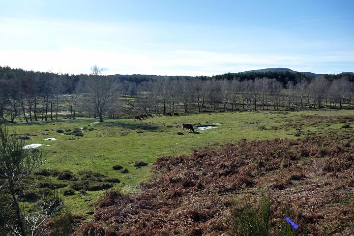 161- Paisagem.jpg